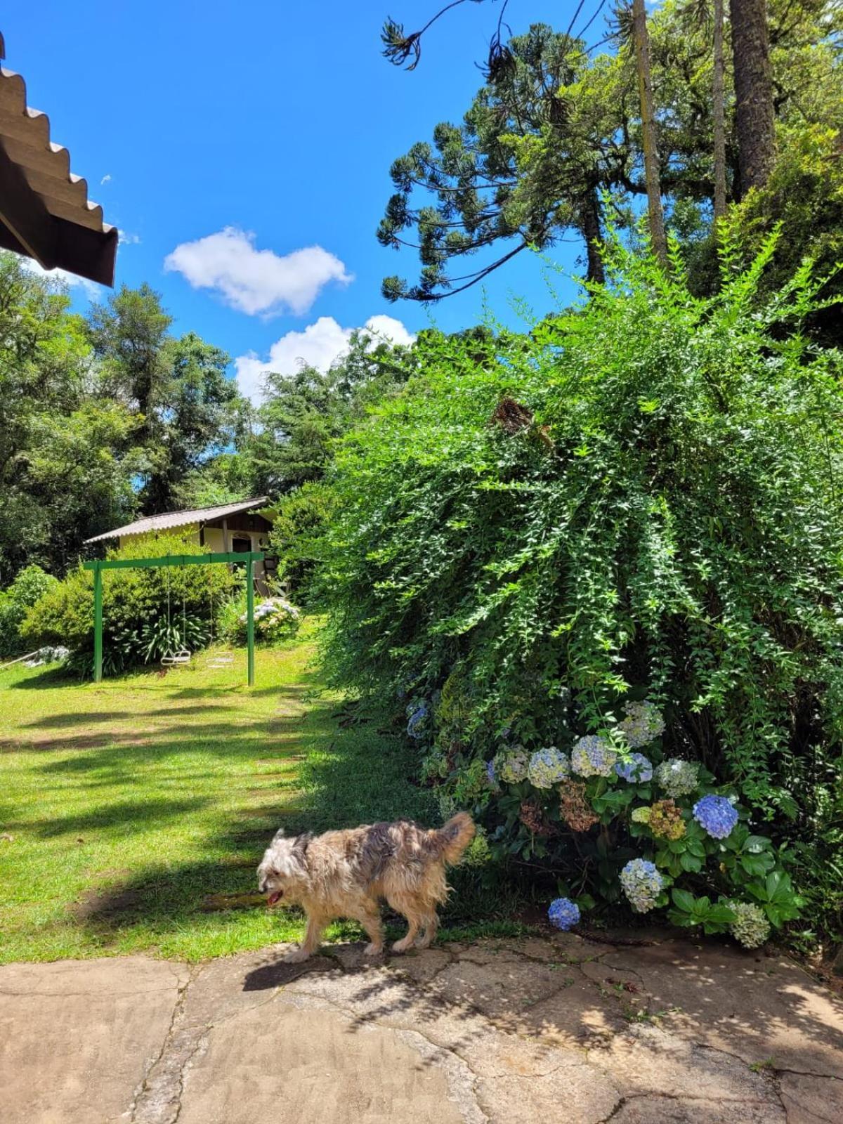 Casa Em Campos Do Jordao - 3 Quartos, Com Churrasqueira Exterior foto